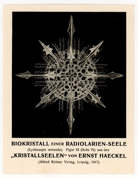Ernst Haeckel Brief an Fanny (Franziska) Meixner - 12.6.1917