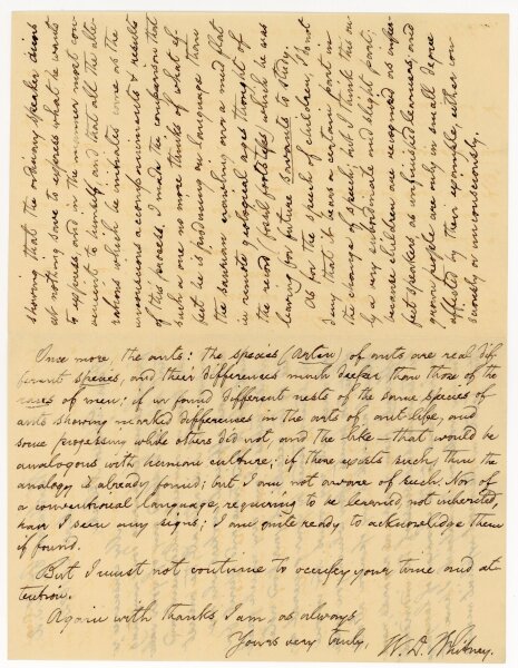 William Dwight Whitney Brief an Theodor Nöldeke - 21.3.1892