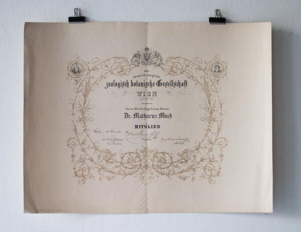 Die zoologisch botanische Gesellschaft (Wien) - Urkunde für Mathaeus Much  - 10.12.1869