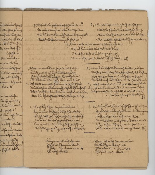 Poetin - Gedichtsammlung - 1886 - 1894