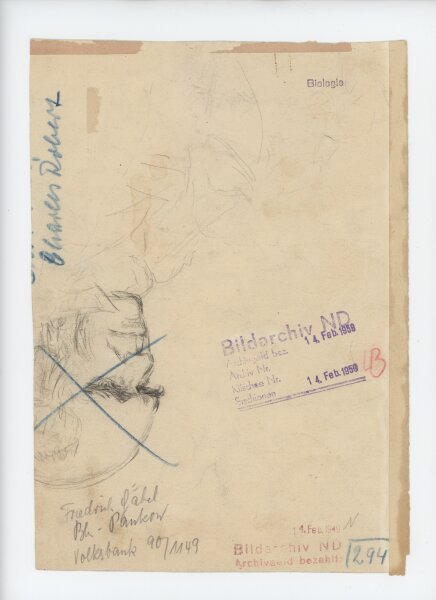 Gäbel - Charles Darwin - Zeichnung - um 1958